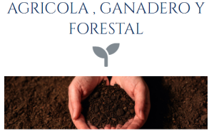 agro forest gana